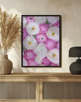 Plakat - Scattered ranunculus in pink II