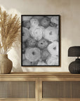 Plakat - Scattered ranunculus grayscale II