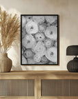 Plakat - Scattered ranunculus grayscale I
