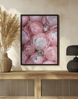 Poster - Subdued blush ranunculus
