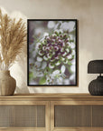 Plakat - Cluster I