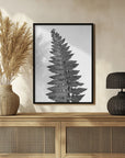 Plakat - Gray fern leaf