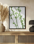 Plakat - Green dainty branch