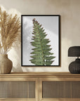 Poster - Green fern