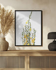 Plakat - Yellow blooms