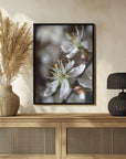 Plakat - Spring blooms I