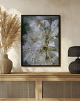 Poster - Spring blooms II