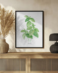 Poster - Basil I