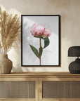 Poster - Pink peony II