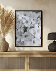 Poster - Distressed freesias V