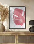 Poster - Pink monstera leaf