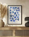 Plakat - Seashells Poster
