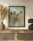 Plakat - Seed stock