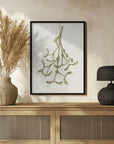 Plakat - Mistletoe ink sketch (olive green)