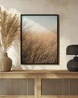 Plakat - Morning Grass Filelds 17 - Admen.dk