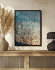 Plakat - Sunset Grass Filelds 04 - Admen.dk