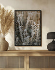 Plakat - Plants and Flowers 03 - Admen.dk