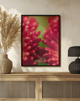 Plakat - Red Flowers 25 - Admen.dk