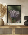 Plakat - Purple Flowers 16 - Admen.dk