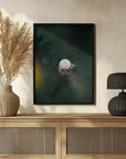 Plakat - White Flowers 17 - Admen.dk