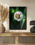 Plakat - White Flowers 19 - Admen.dk