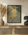 Plakat - Summer Flowers 3 - Admen.dk