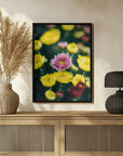 Plakat - Summer Flowers 4 - Admen.dk