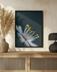 Plakat - Summer Flowers 11 - Admen.dk