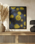 Plakat - Summer Flowers 24