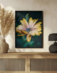 Plakat - Summer Flowers 31 - Admen.dk