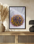Plakat - Summer Flowers 37 - Admen.dk