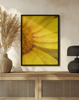 Plakat - Summer Flowers 42