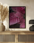 Plakat - Summer Flowers 62 - Admen.dk