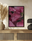 Plakat - Summer Flowers 67 - Admen.dk