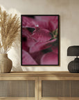 Plakat - Summer Flowers 67