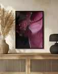 Plakat - Summer Flowers 68 - Admen.dk