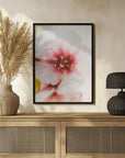 Plakat - Summer Flowers 84 - Admen.dk