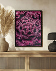Plakat - Summer Flowers 97 - Admen.dk