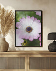 Plakat - Summer Flowers 102 - Admen.dk
