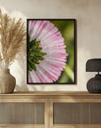 Plakat - Summer Flowers 109 - Admen.dk