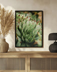 Plakat - Green Plants 9 - Admen.dk