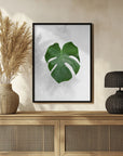 Plakat - Plants 3
