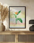Plakat - Plants 33