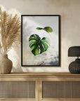 Poster - Plants 35