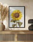Poster - Sunflower Still