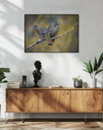 Plakat - Rufous-chinned laughing thrush