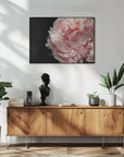 Plakat - Blush peony IV