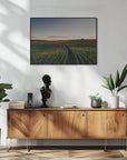 Plakat - Corn Fields 04