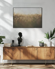Plakat - Morning Grass Fileld 02 - Admen.dk