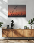 Plakat - Sunset grass filelds 03 - Admen.dk